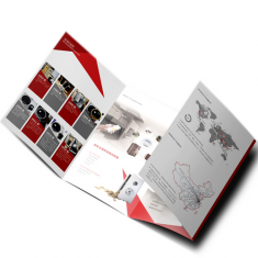 Wholesale Custom Design Printed Promotional Advertising Folded Booklet Leaflet Flyer Brochure Printing Service